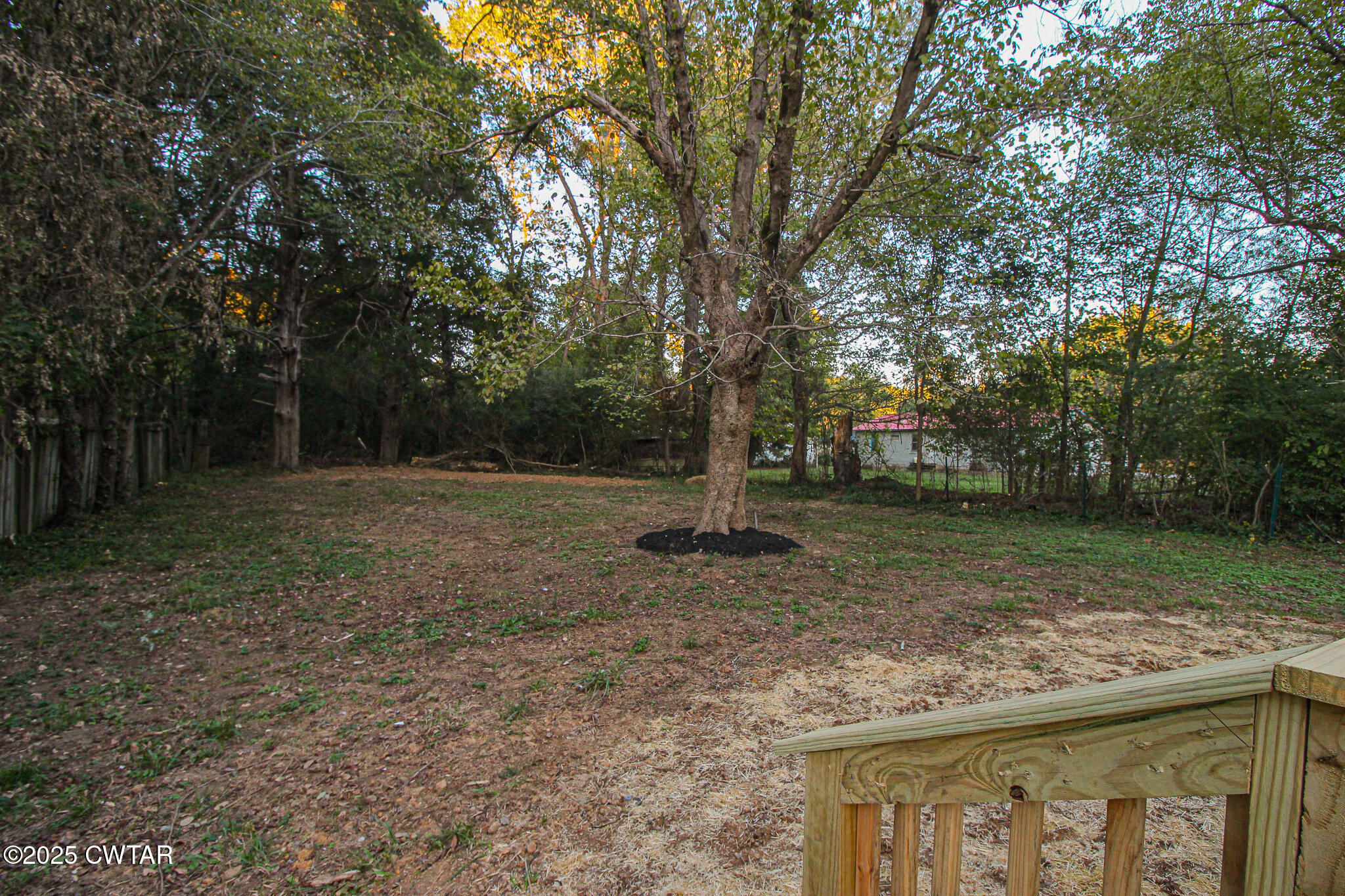 107 Lower Brownsville Road Jackson, TN 38301 - Photo 14 of 17 a view of a tree in a park