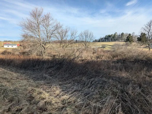 a view of a lake with a yard and large trees