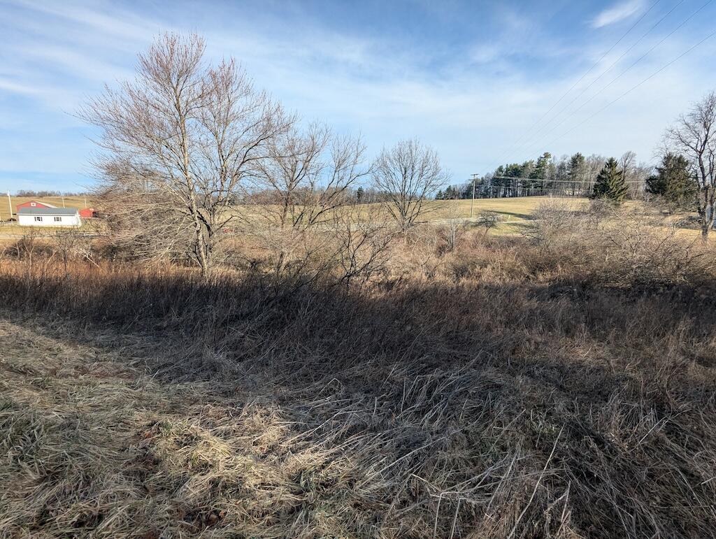 a view of a lake with a yard and large trees