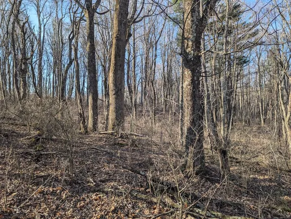 a view of a backyard of the house