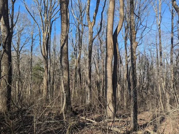 a view of small yard