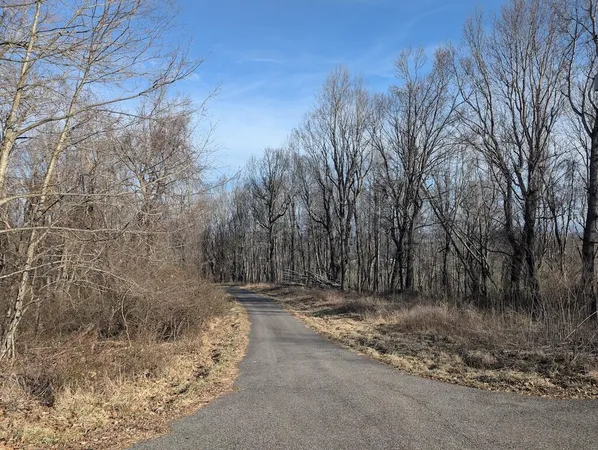 a view of a backyard of the house