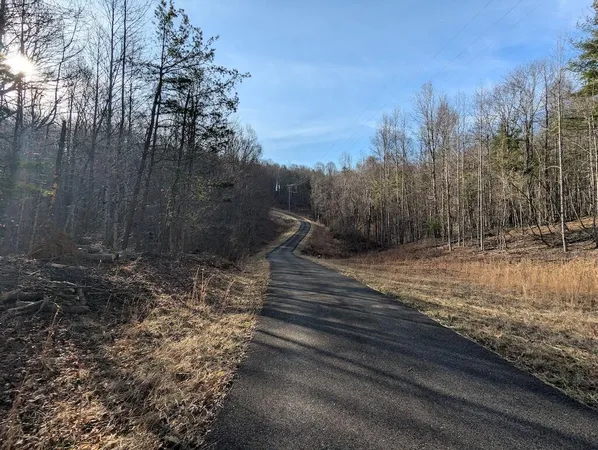 a view of a backyard of the house