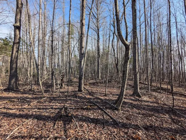 a view of a backyard with white door