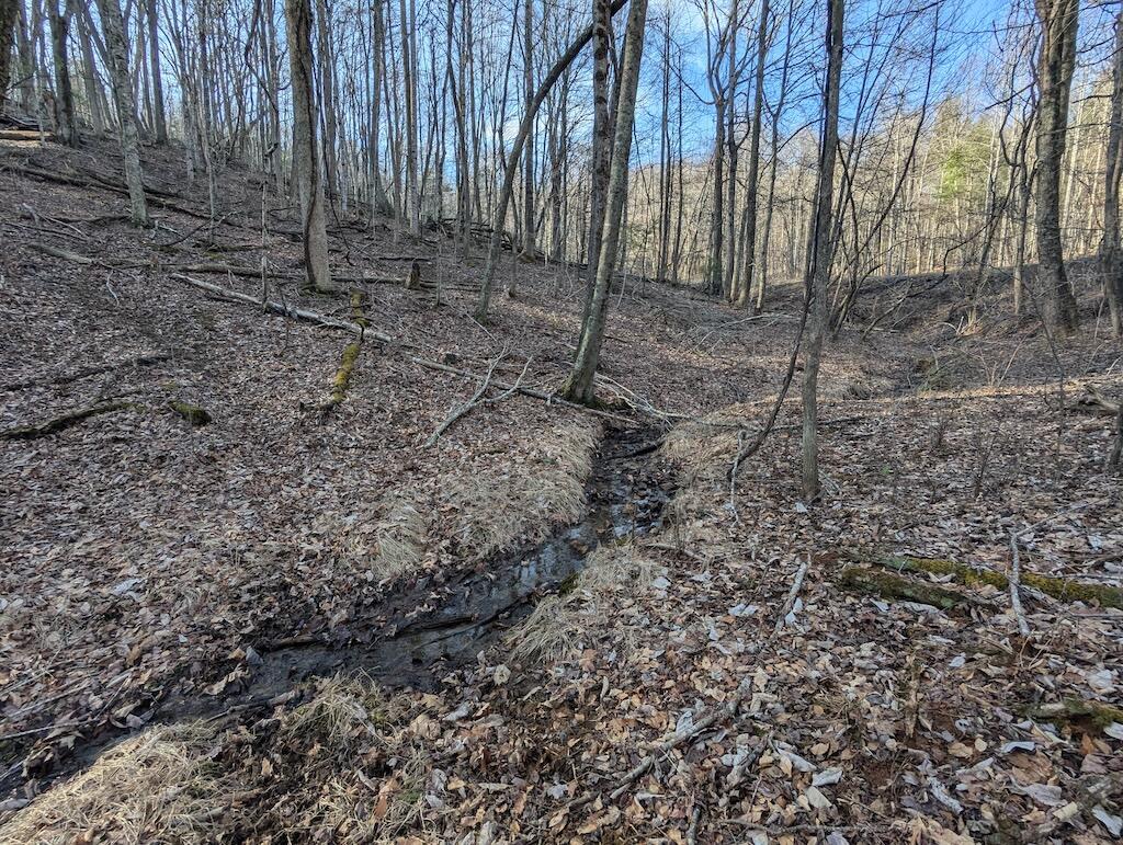 Tbd Coles Knob Road Northeast Pilot, VA 24138 - Photo 6 of 25 a view of a yard with trees