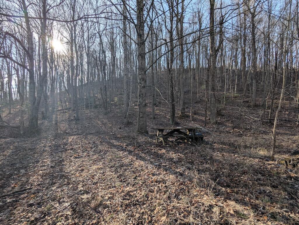 Tbd Coles Knob Road Northeast Pilot, VA 24138 - Photo 7 of 25 a view of a backyard with large trees
