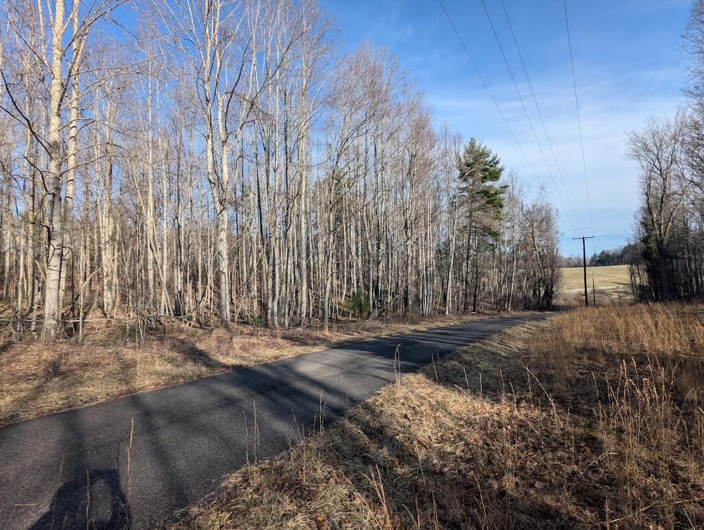 Tbd Coles Knob Road Northeast Pilot, VA 24138 - Photo 10 of 25 a view of a yard with trees
