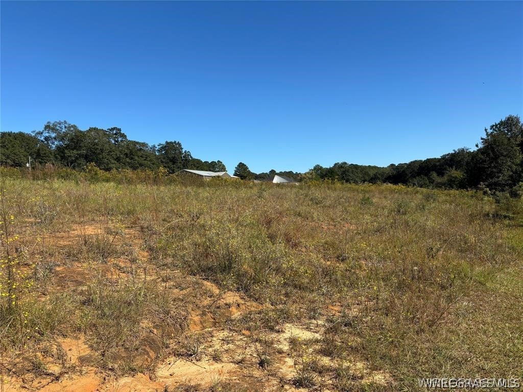 0 Culpepper Road Coffee Springs, AL 36318 - Photo 2 of 23 Gallery Image 2