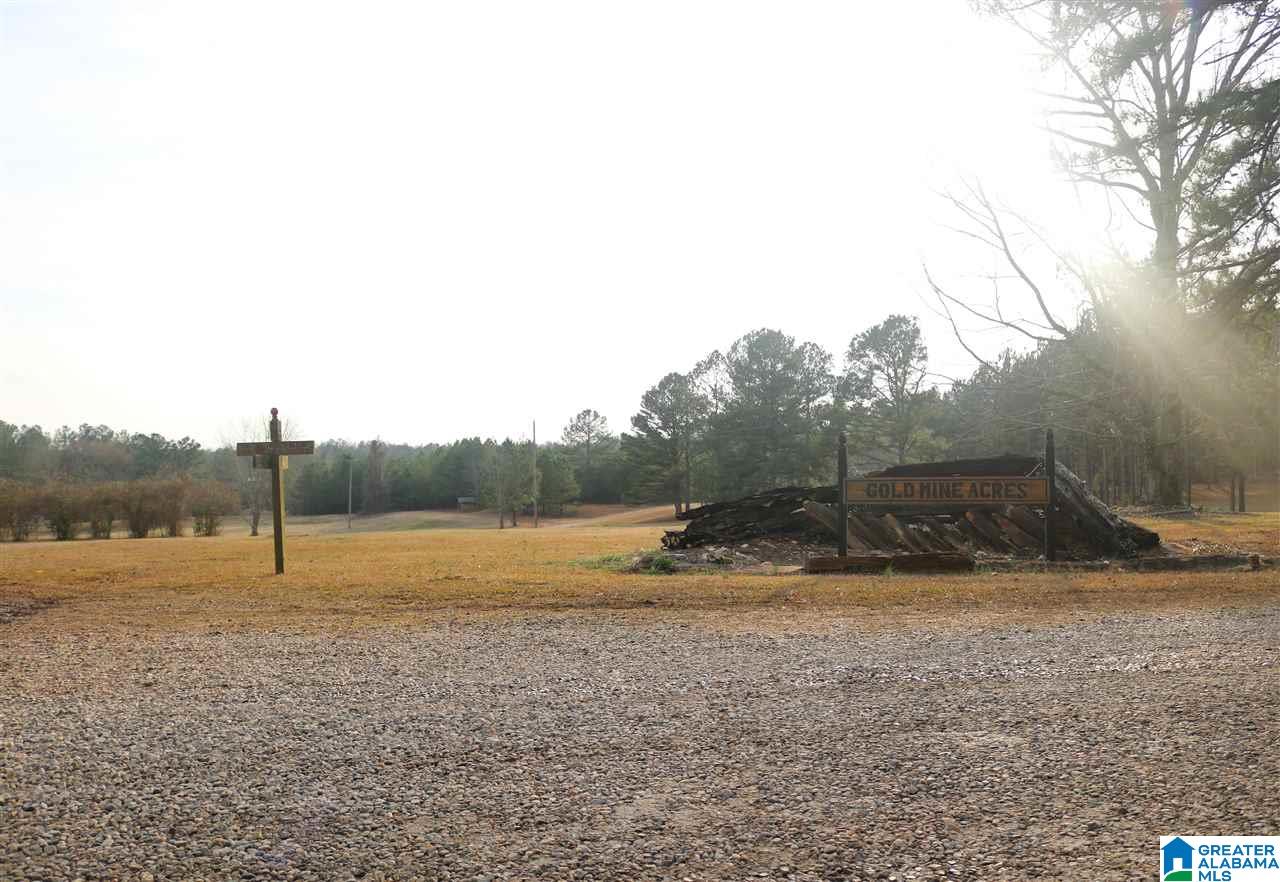 0 County Road 928, Unit 36 Delta, AL 36258 - Photo 2 of 20