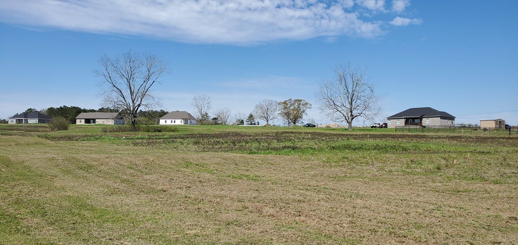 0 Roy Martin Road Dothan, AL 36301 - Photo 6 of 7