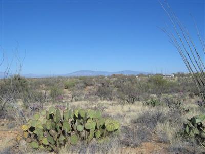 0 West Pima Mine Road West Sahuarita, AZ 85629 - Photo 5 of 5