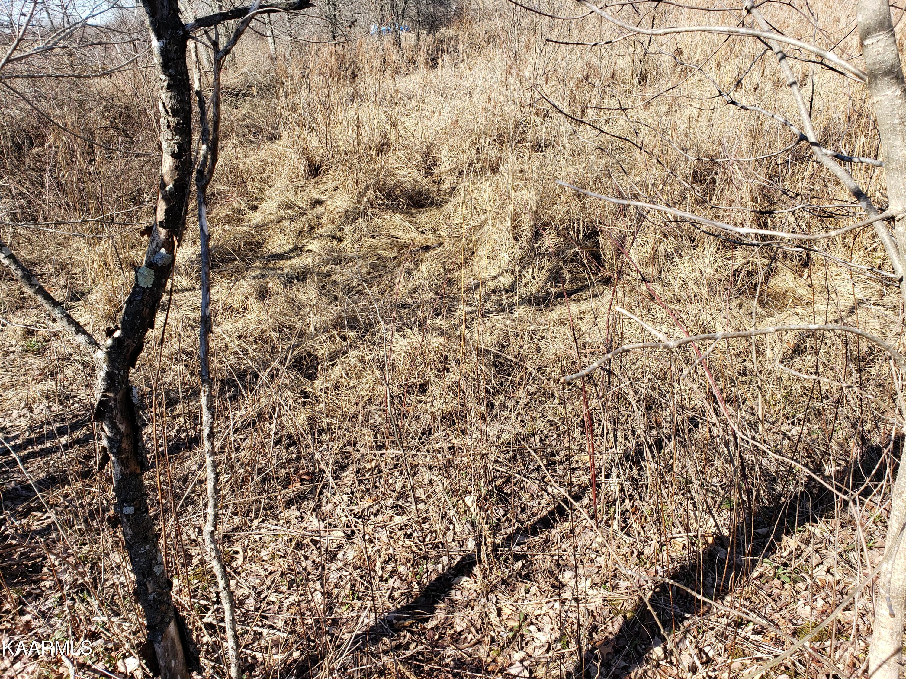 7.24-acres Dunbar Road Crossville, TN 38572 - Photo 11 of 17 20230206_115401