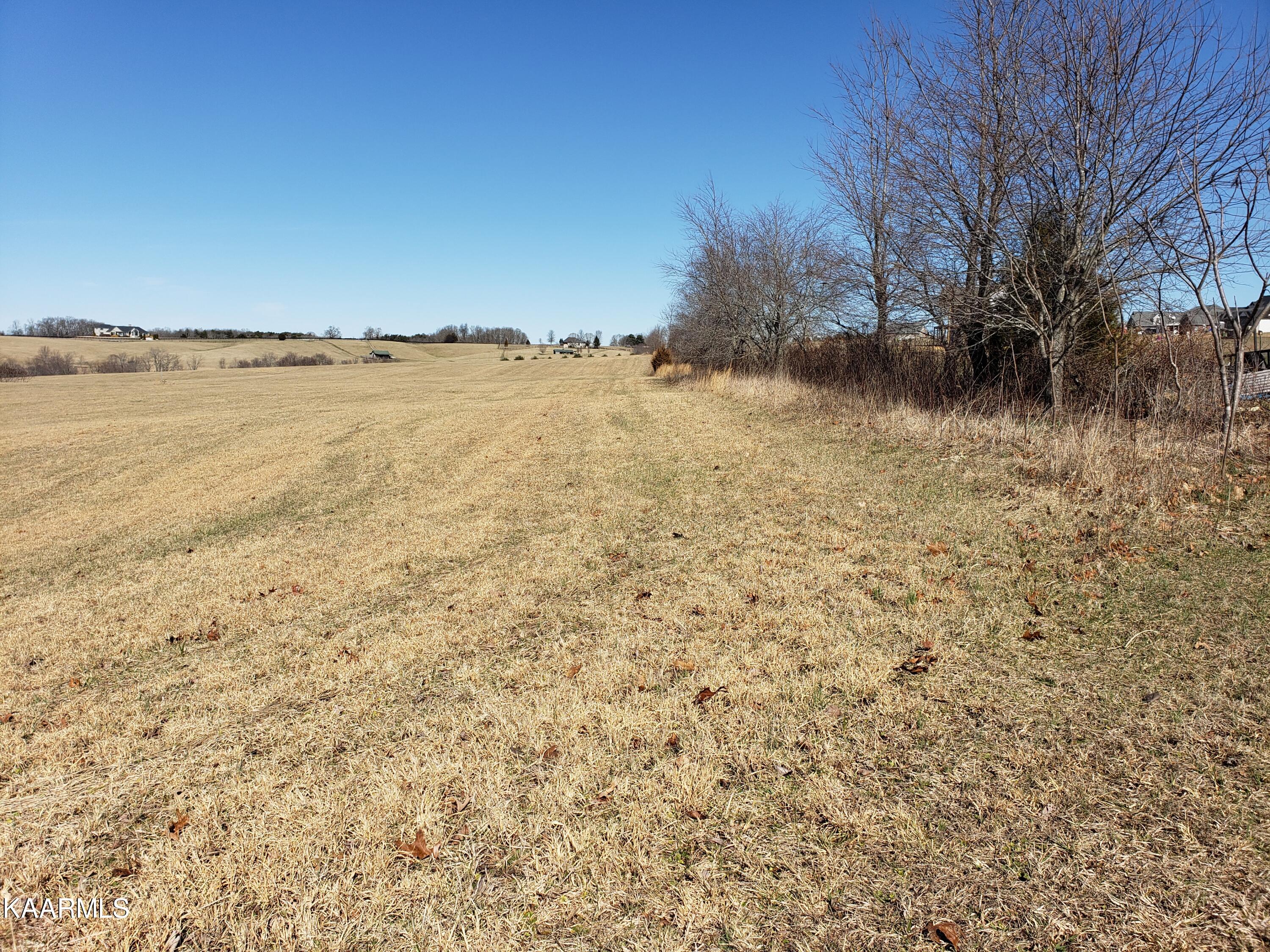 7.24-acres Dunbar Road Crossville, TN 38572 - Photo 5 of 17 20230206_114644