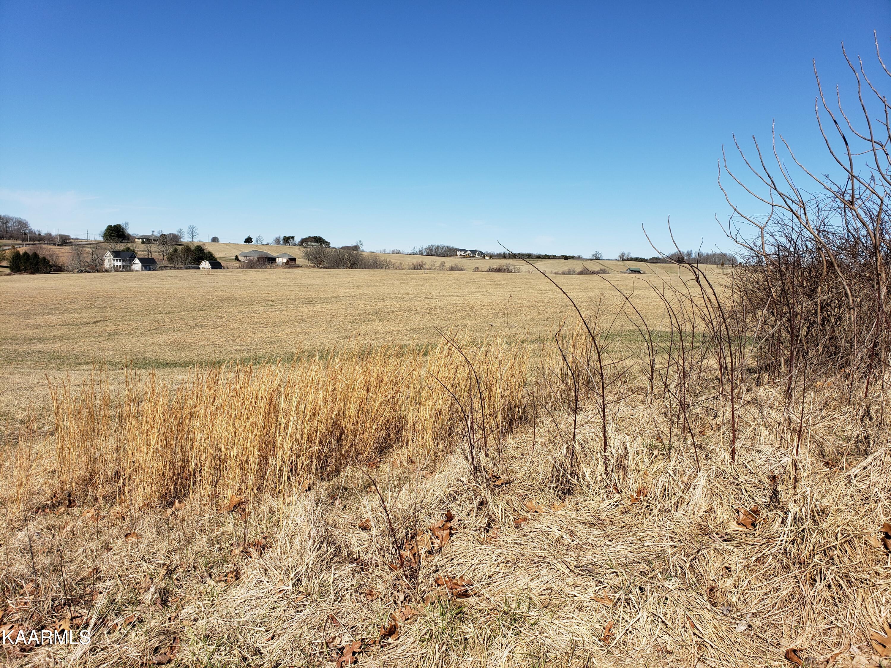 7.24-acres Dunbar Road Crossville, TN 38572 - Photo 7 of 17 20230206_114731