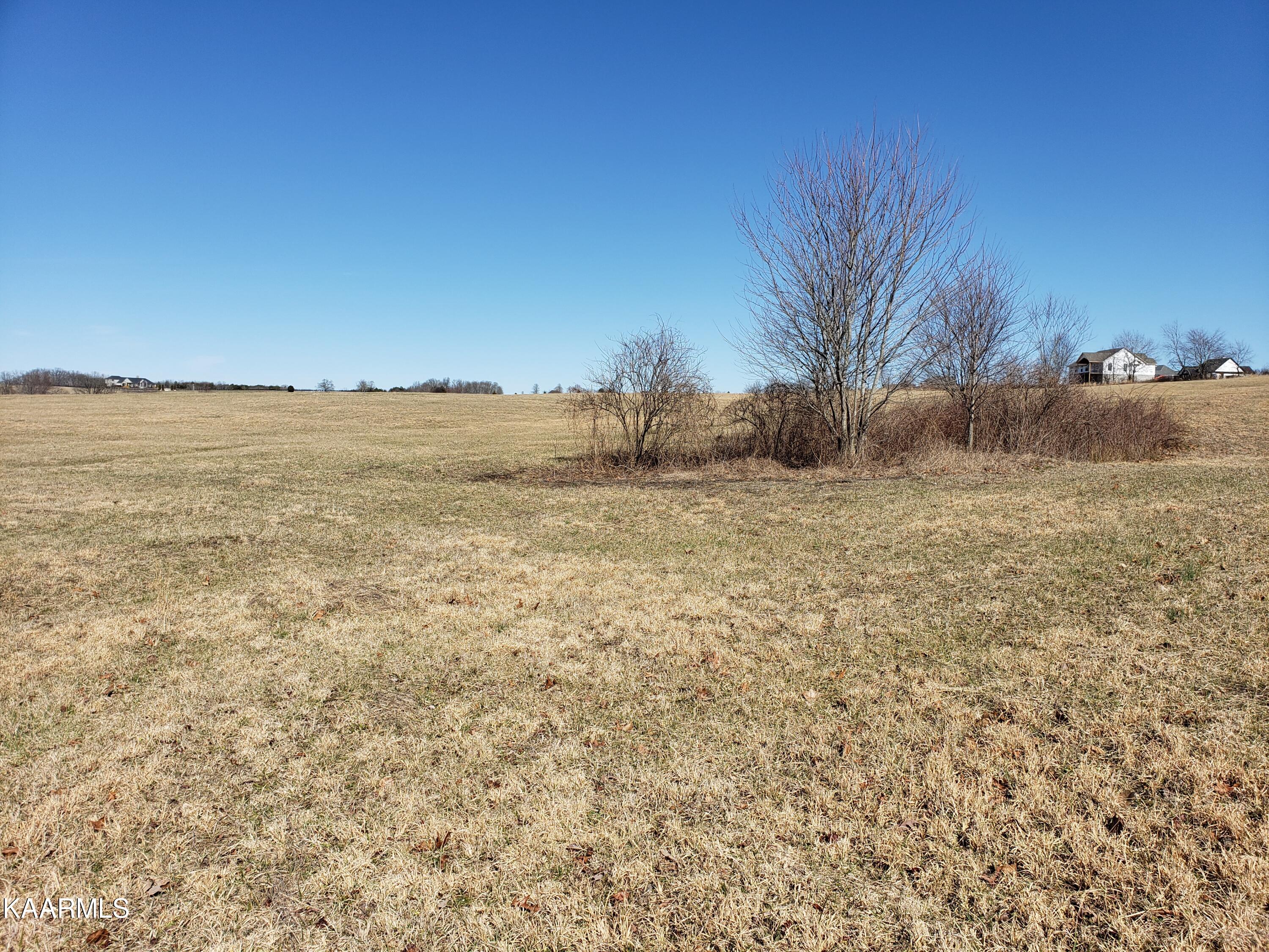 7.24-acres Dunbar Road Crossville, TN 38572 - Photo 8 of 17 20230206_115233