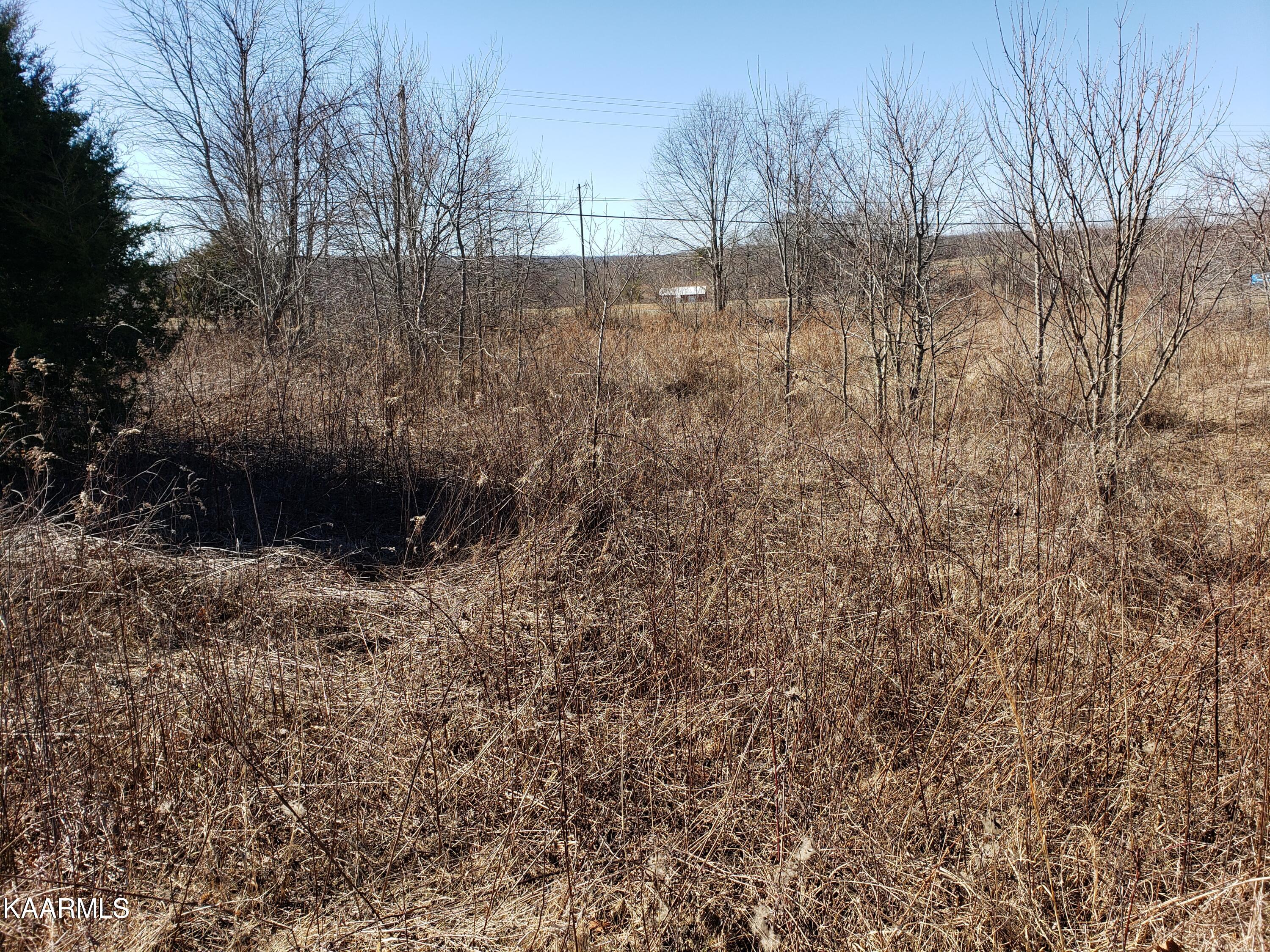 7.24-acres Dunbar Road Crossville, TN 38572 - Photo 9 of 17 20230206_115237