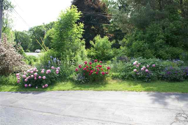 523 Terrace Road Rotterdam, NY 12306 - Photo 12 of 12 Photo 12