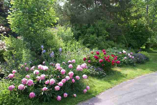 523 Terrace Road Rotterdam, NY 12306 - Photo 3 of 12 Photo 3