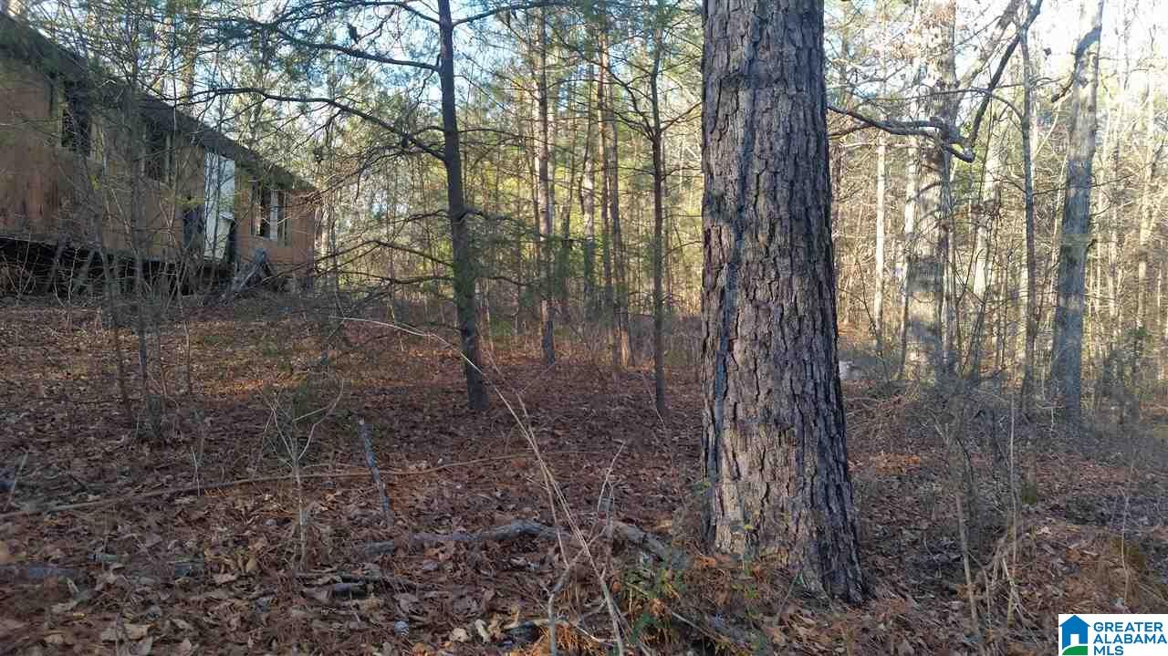 2244 Morris Majestic Road, Unit LOT 5 Morris, AL 35116 - Photo 2 of 10