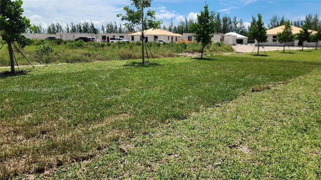 a view of a park with large trees