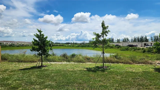 a view of a backyard with plants and a garden