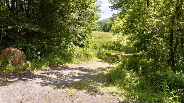 $319,000 | 41561 State Highway, Delhi, NY 13753