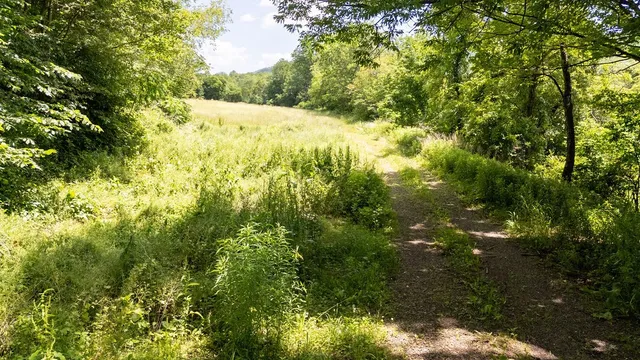 $319,000 | 41561 State Highway, Delhi, NY 13753