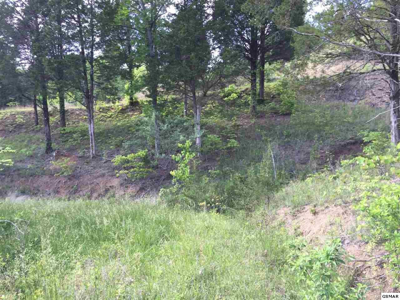 2935 Buck Horn Road Sevierville, TN 37876 - Photo 6 of 10 Gallery Image 6