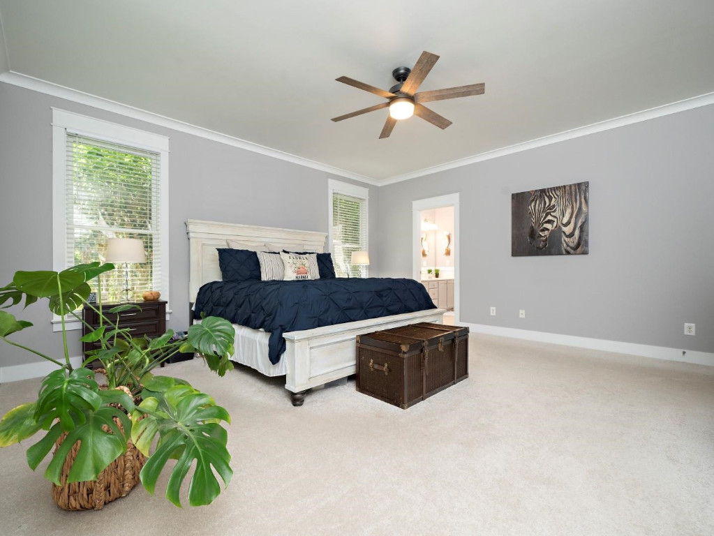 2516 Mt Vernon Church Road Raleigh, NC 27614 - Photo 28 of 58 a living room with furniture and a potted plant