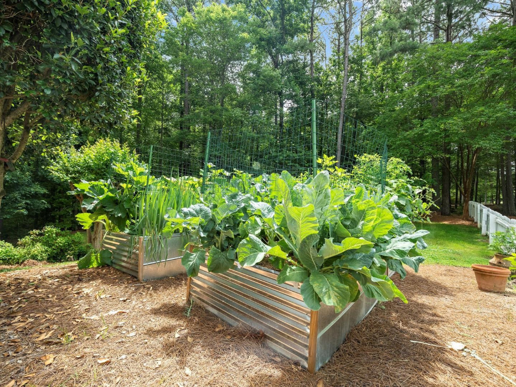 2516 Mt Vernon Church Road Raleigh, NC 27614 - Photo 47 of 58 a view of a garden with plants and large trees