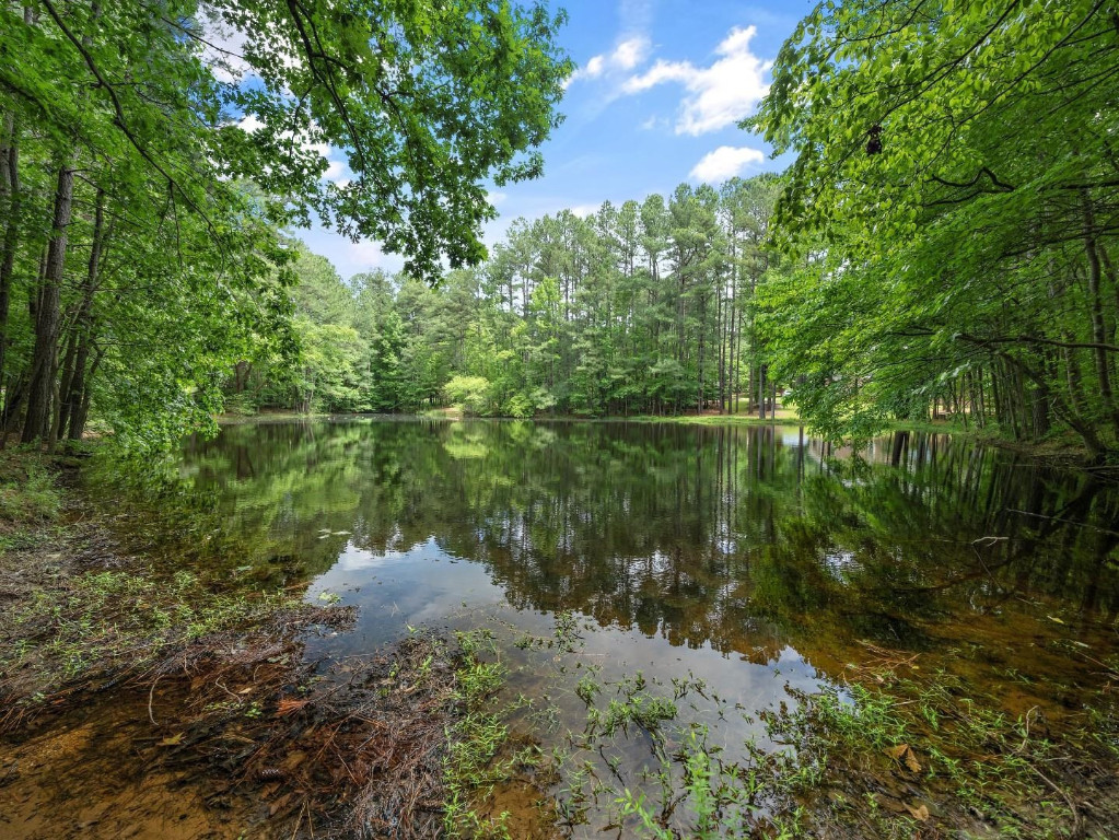2516 Mt Vernon Church Road Raleigh, NC 27614 - Photo 50 of 58 a lake view with a lake view