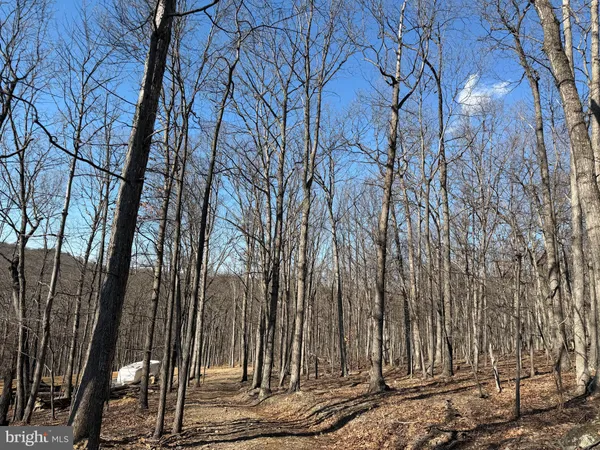 $150,000 | Goldsborough Road, Springfield, WV 26763