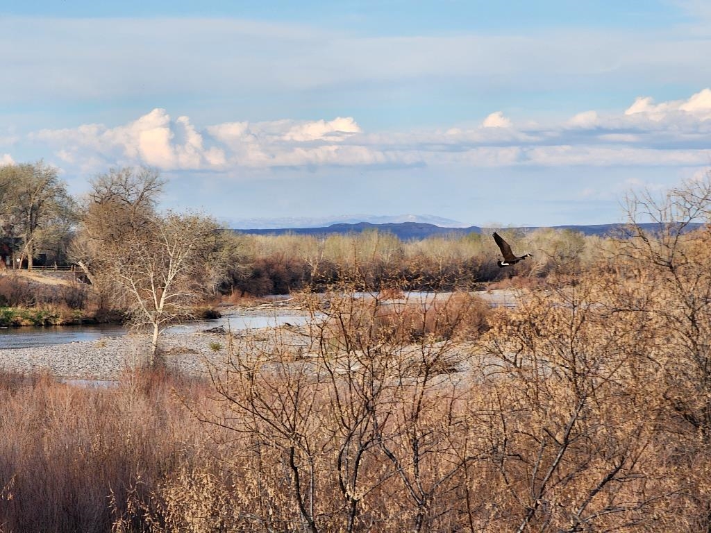 Lot 3-4 Mazet Road Riverton, WY 82501 - Photo 45 of 48