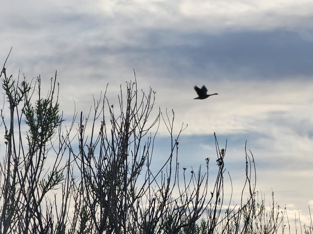 Lot 3-4 Mazet Road Riverton, WY 82501 - Photo 46 of 48