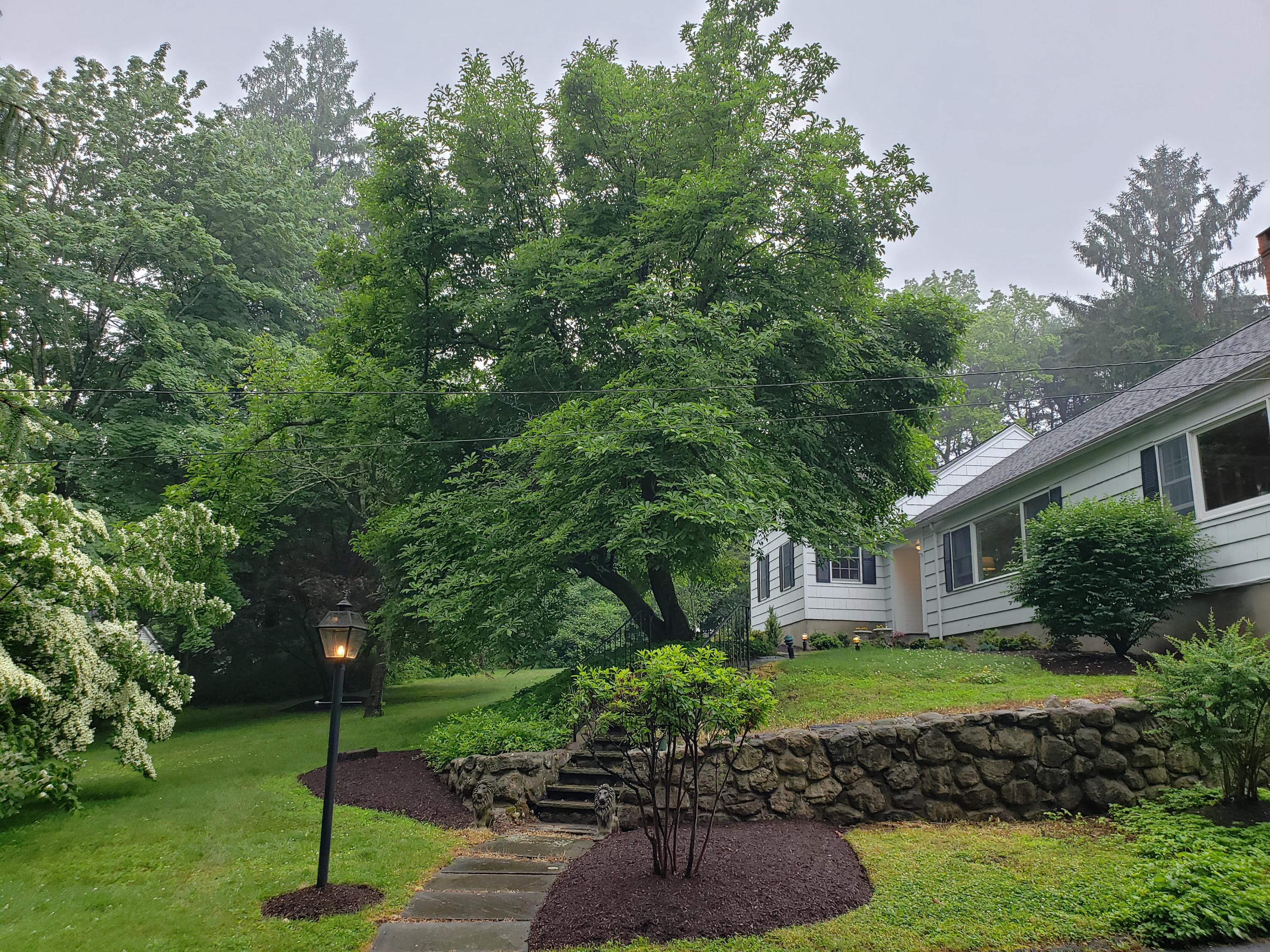 37 Maywood Road Darien, CT 06820 - Photo 28 of 31 20190618_112543
