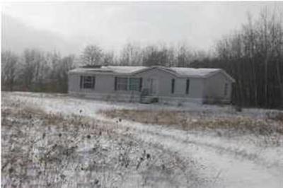 3200 Bollinger Road Carson City, MI 48811 - Photo 1 of 10 Primary Photo