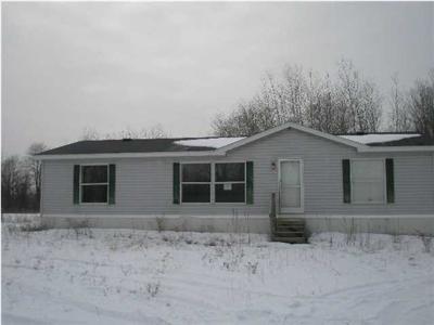 3200 Bollinger Road Carson City, MI 48811 - Photo 2 of 10 Additional Photo