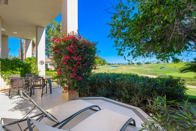 a view of a backyard with plants and patio