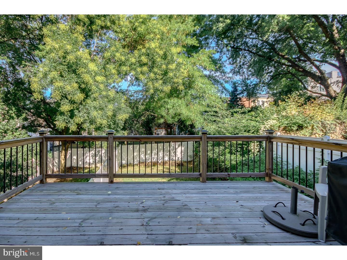 257 Ripka Street Philadelphia, PA 19127 - Photo 8 of 25 Deck