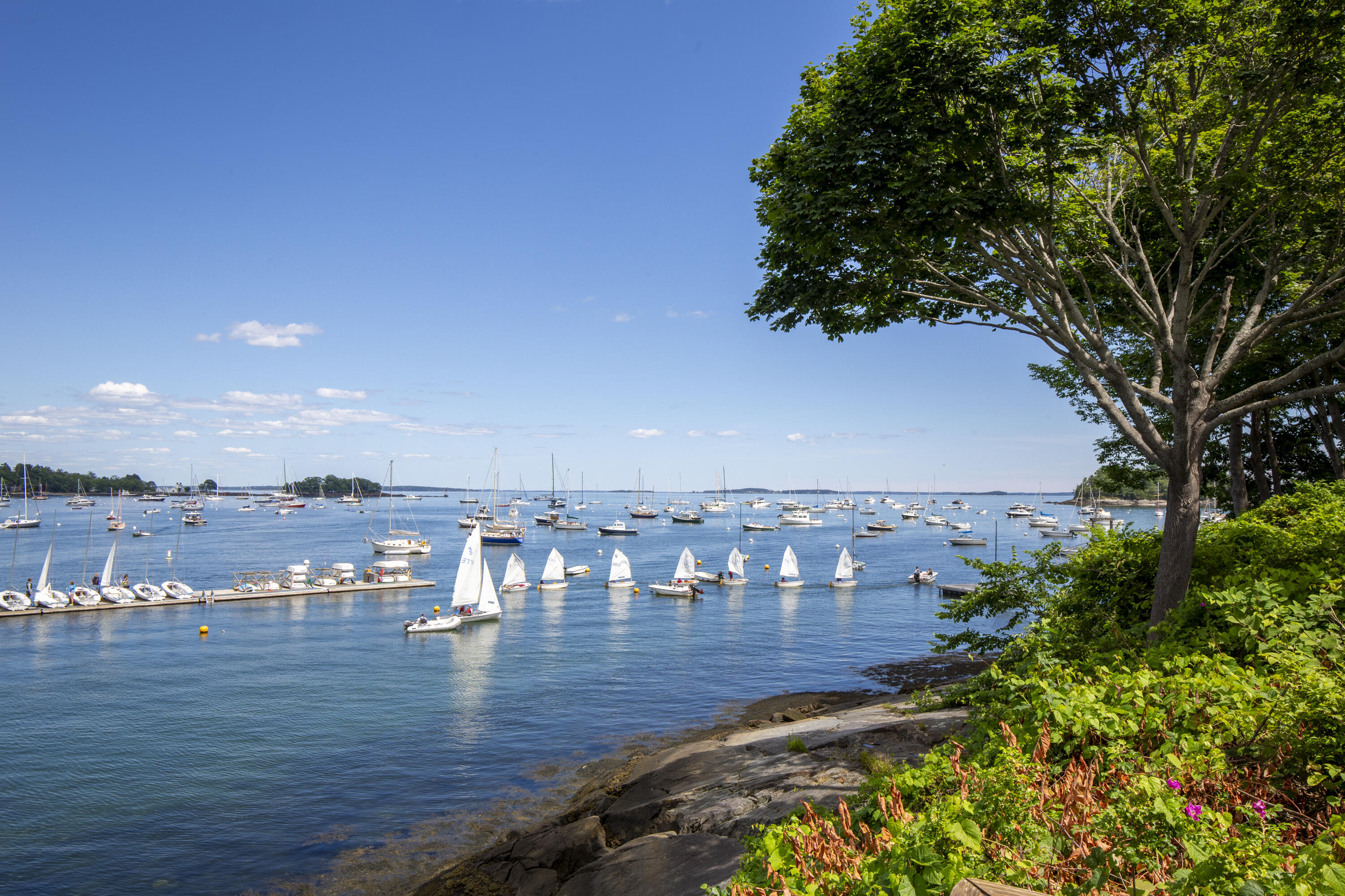 6 Bay Road Camden, ME 04843 - Photo 11 of 47 11-6BayRd-Camden-KS