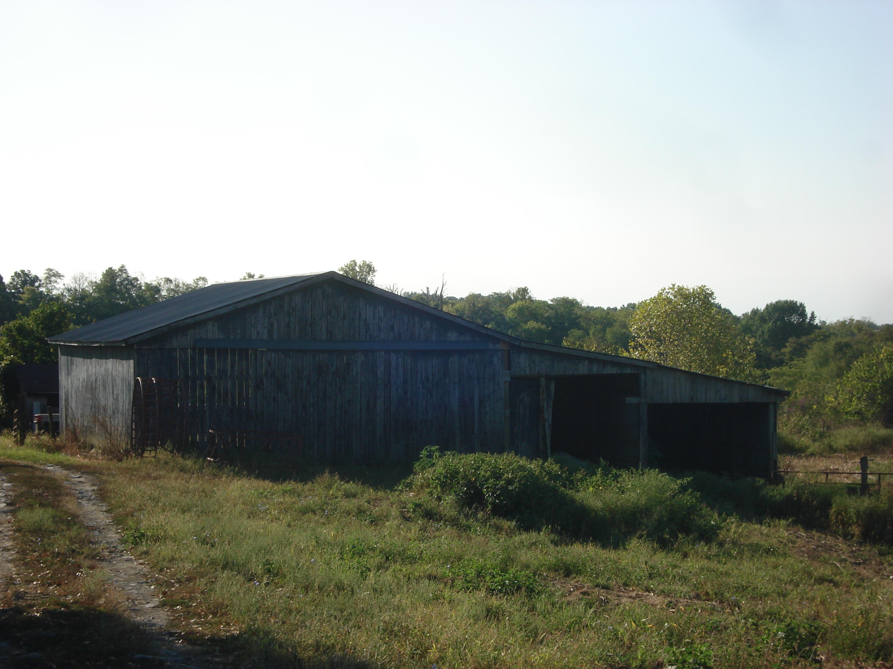 331 Dog Walk Road Cynthiana, KY 41031 - Photo 16 of 17 DSC01247