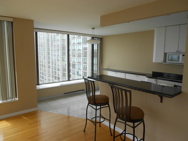5455 North Sheridan Road, Unit 1702 Chicago, IL 60640 - Photo 4 of 13