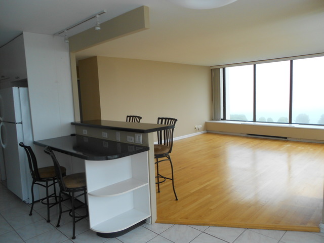 5455 North Sheridan Road, Unit 1702 Chicago, IL 60640 - Photo 6 of 13
