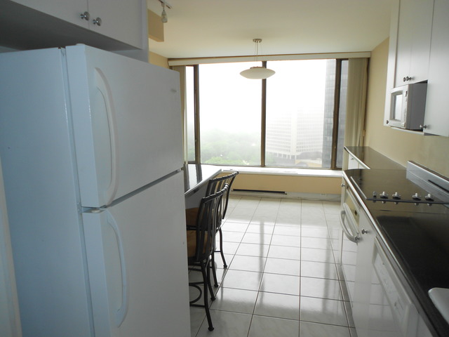5455 North Sheridan Road, Unit 1702 Chicago, IL 60640 - Photo 8 of 13