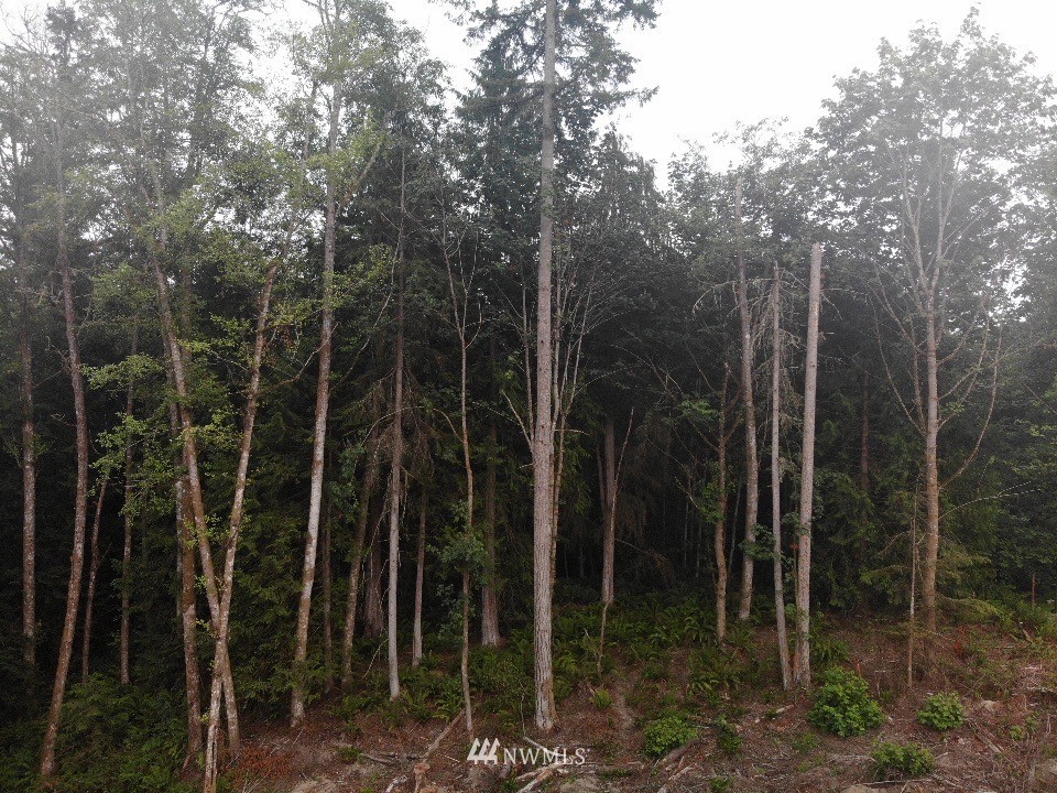 -xxx East Collins Road Port Orchard, WA 98366 - Photo 14 of 15 Gallery Image 14