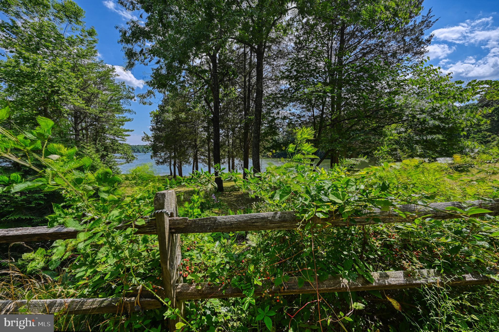 5900 Haleys Mill Road Spotsylvania, VA 22551 - Photo 6 of 43