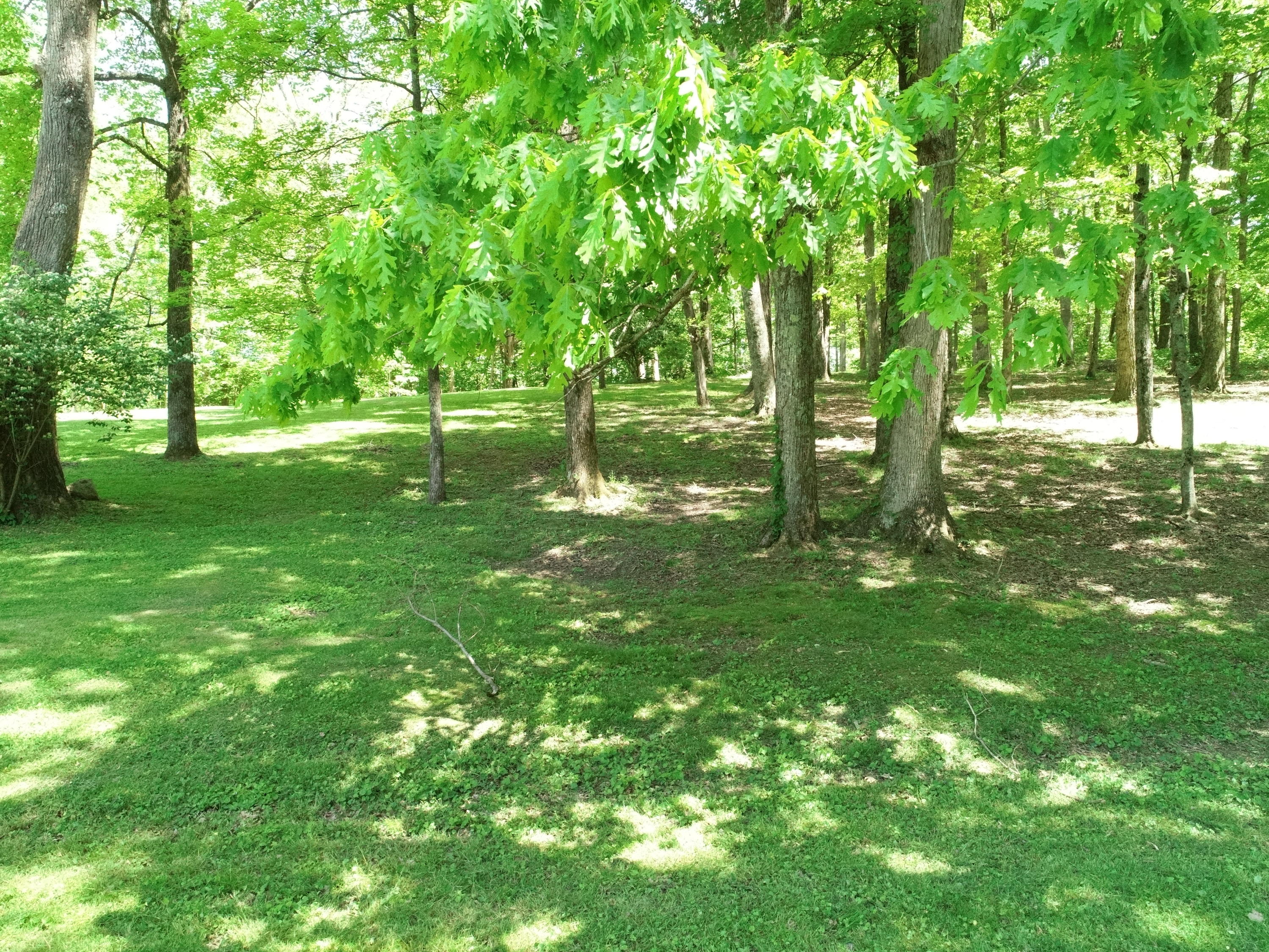 70 Robins Road Ravenna, KY 40472 - Photo 49 of 51 Yard!