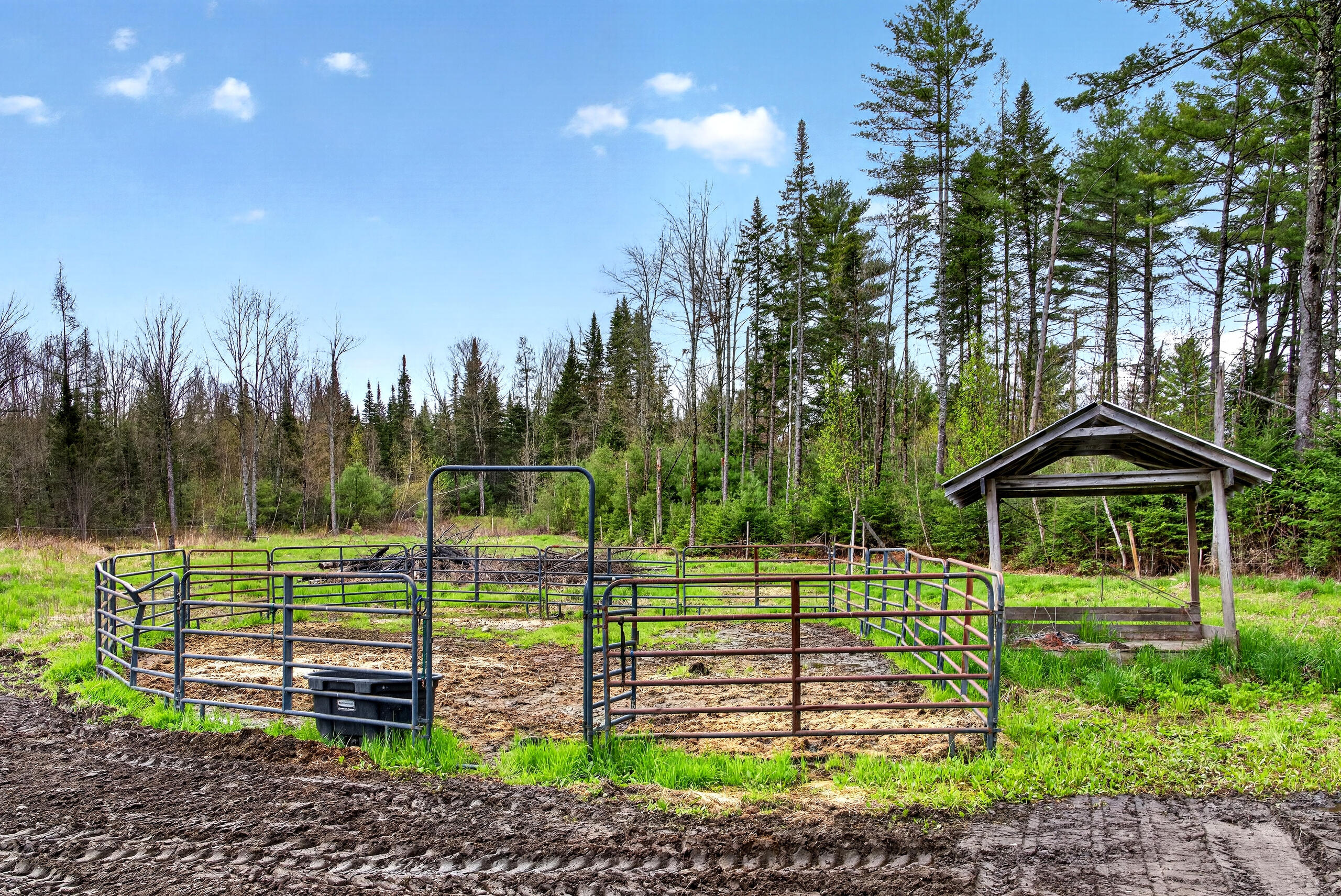 659 Hartland Road Canaan, ME 04924 - Photo 6 of 54 006_DSC06923