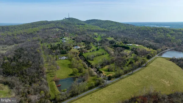 a view of a forest with a forest