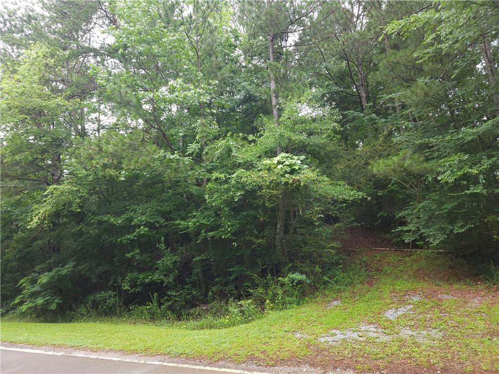 0 Potash Road Cedartown, GA 30125 - Photo 10 of 15
